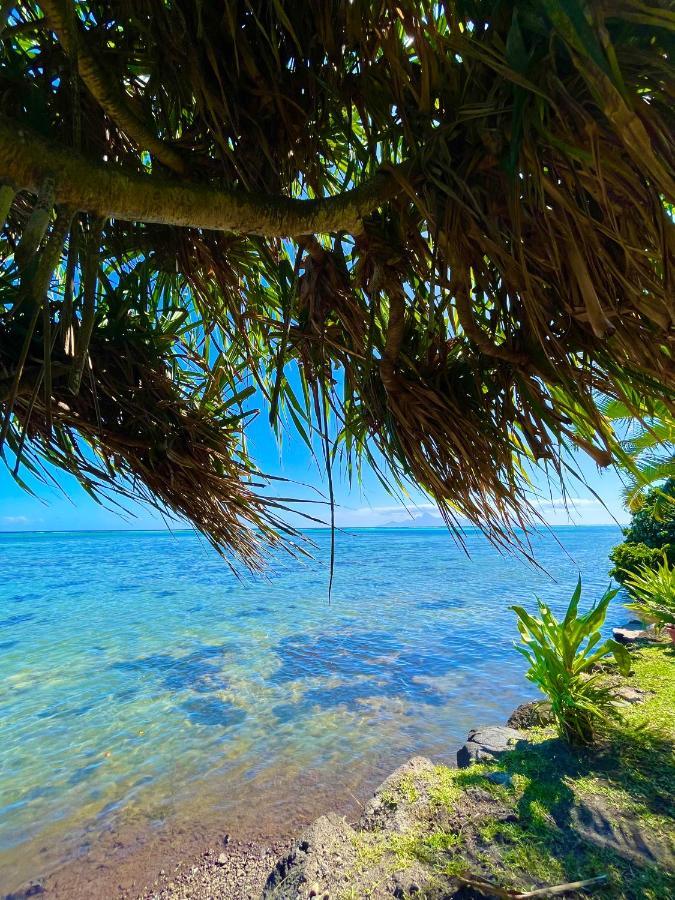 O'Coco Bungalow- Breathtaking Waterfront Views, Endless Memories Paea Buitenkant foto