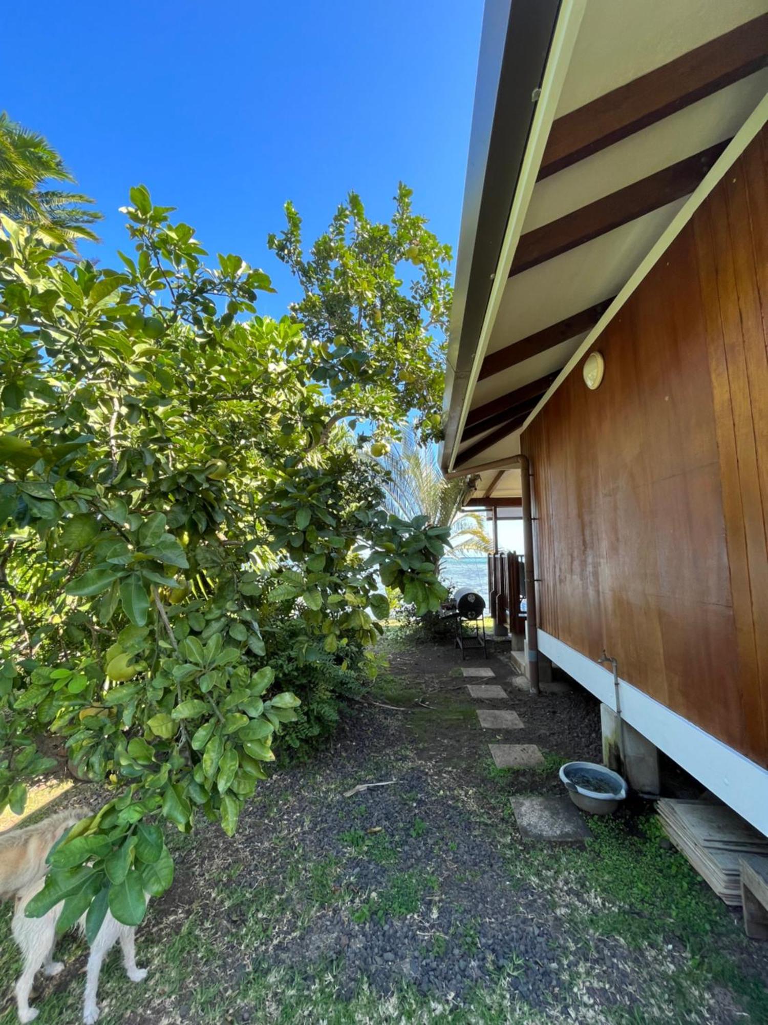 O'Coco Bungalow- Breathtaking Waterfront Views, Endless Memories Paea Buitenkant foto
