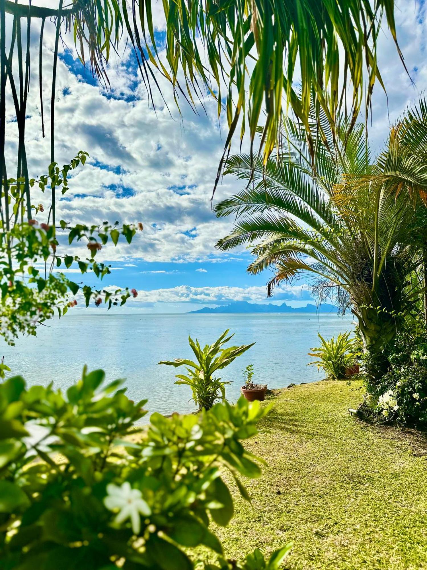 O'Coco Bungalow- Breathtaking Waterfront Views, Endless Memories Paea Buitenkant foto