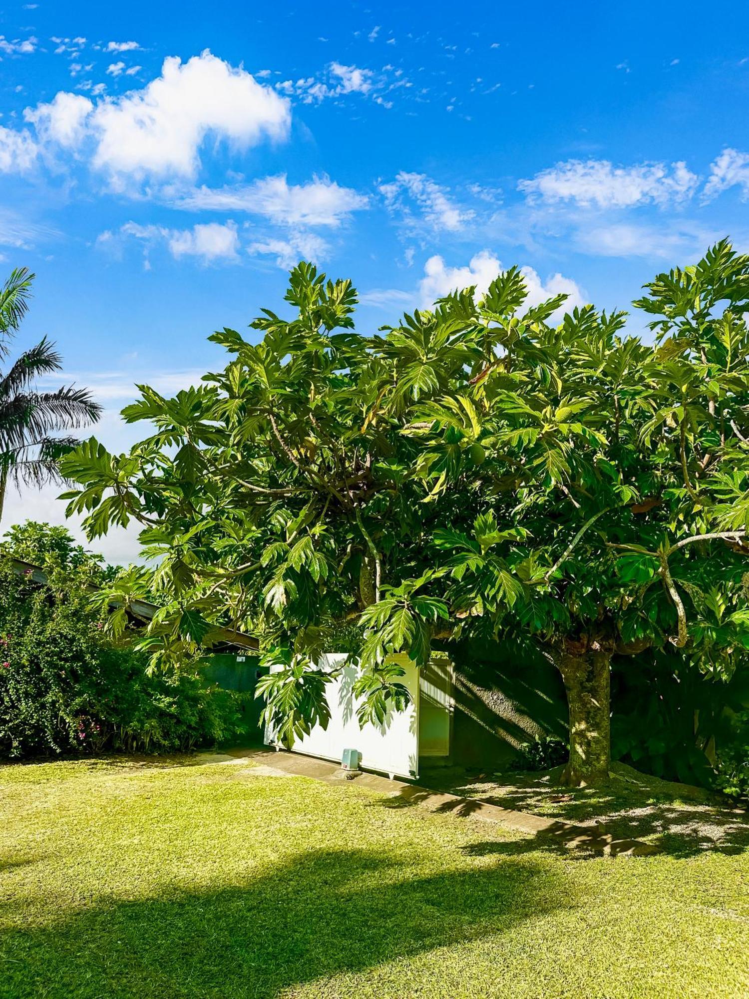 O'Coco Bungalow- Breathtaking Waterfront Views, Endless Memories Paea Buitenkant foto